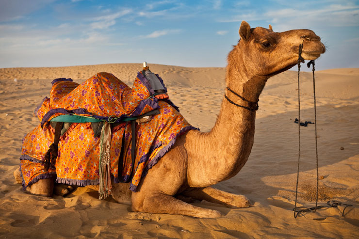 Best of Rajasthan Tour Package with Varanasi